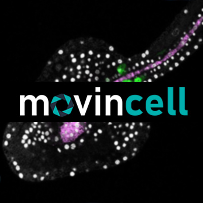 MovinCell